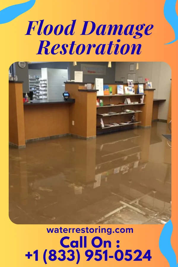 Flood Damage Restoration in Cibolo, TX