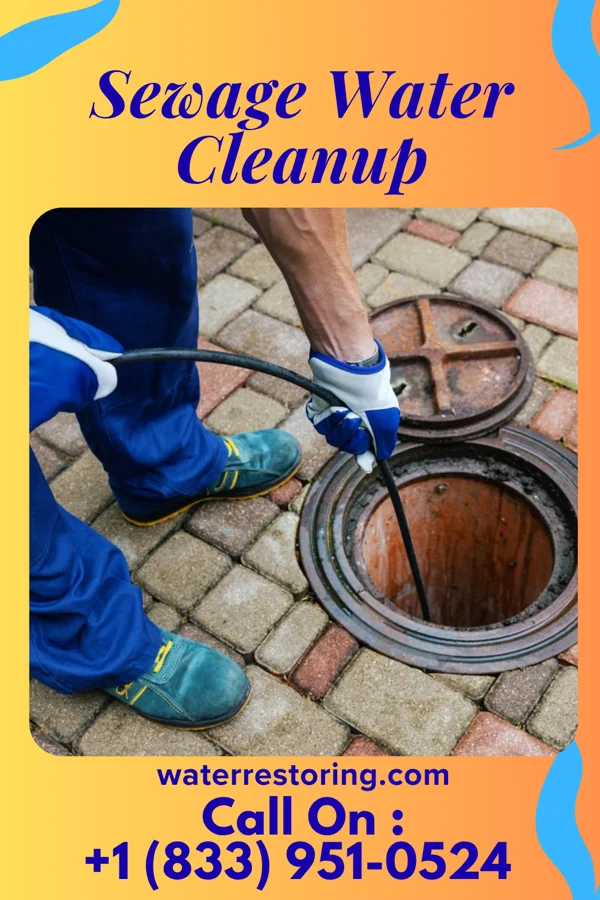 Sewage Water Cleanup in Cibolo, TX
